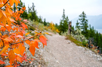 Fall colors along the Coral Creek Canyon trail.