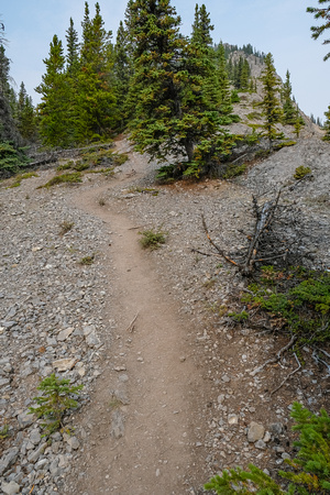 There are a myriad of trails leading up the steep south ridge.