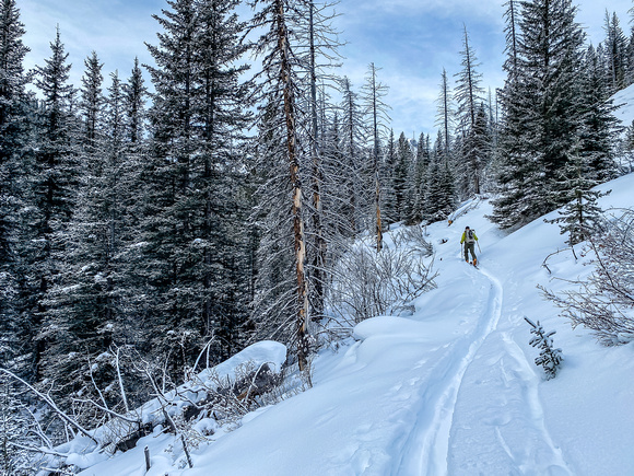 Skiing up the Elk Pass Trail.