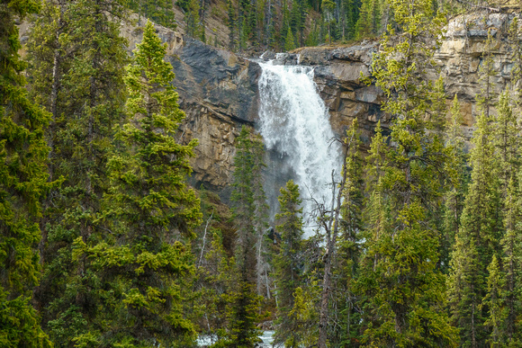 Roaring Creek Falls.