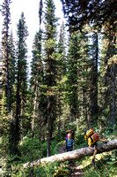 Hiking back up to Elk Pass.