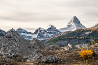 A wonderful view over the Valley of the Rocks back towards the mighty Mount Assiniboine.