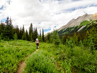 Hiking between the Luellen Lake junction and the Badger Pass junction.