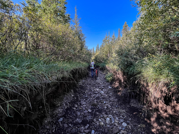 Biking the Canary Creek Trail.