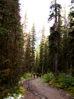 The Bryant Creek trail is a road for 14km.