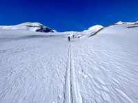 Skiing moraines east of the glacier below Peyto Peak.